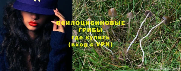 тгк Горно-Алтайск