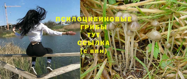 тгк Горно-Алтайск