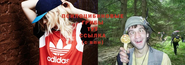 метадон Горняк