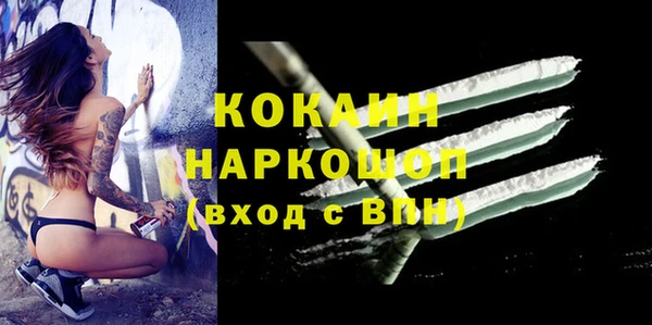 тгк Горно-Алтайск