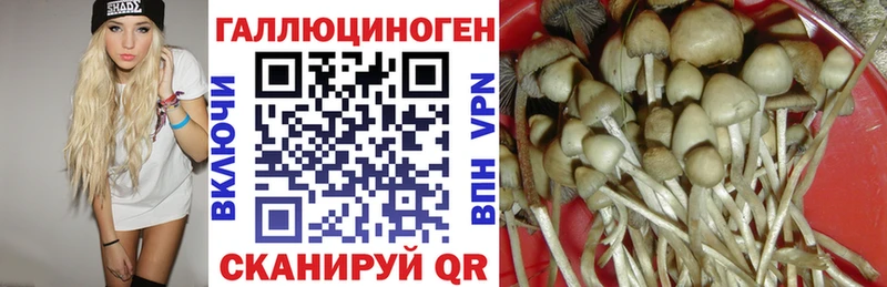shop формула Находка Псилоцибиновые грибы MAGIC MUSHROOMS