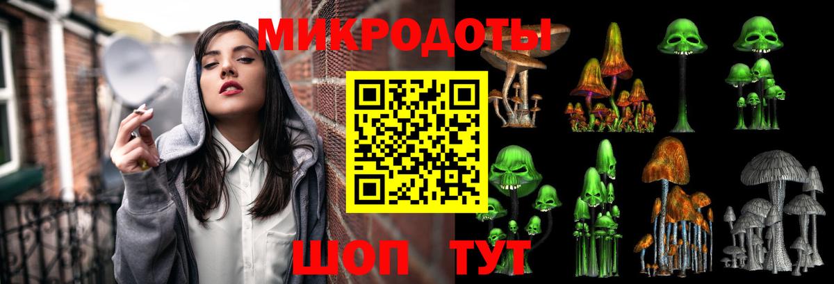 Псилоцибиновые грибы Psilocybe Находка
