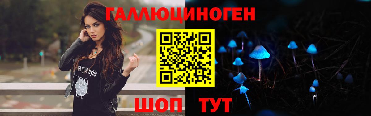Находка  Псилоцибиновые грибы Psilocybe  Вход с VPN 